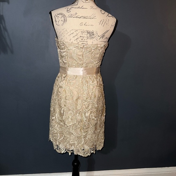 Adrianna Papell Strapless Lace Dress - Beige - Picture 7 of 7